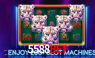 Dr. Ricardo Silva - Especialista em Live Casino